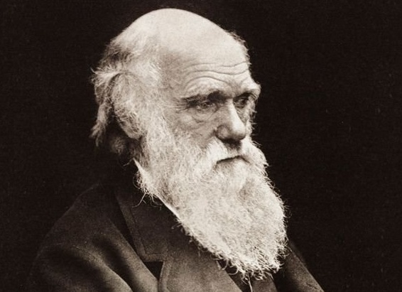 Дарвин и религия Дарвин и религия