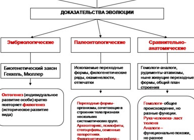 Доказательства эволюции