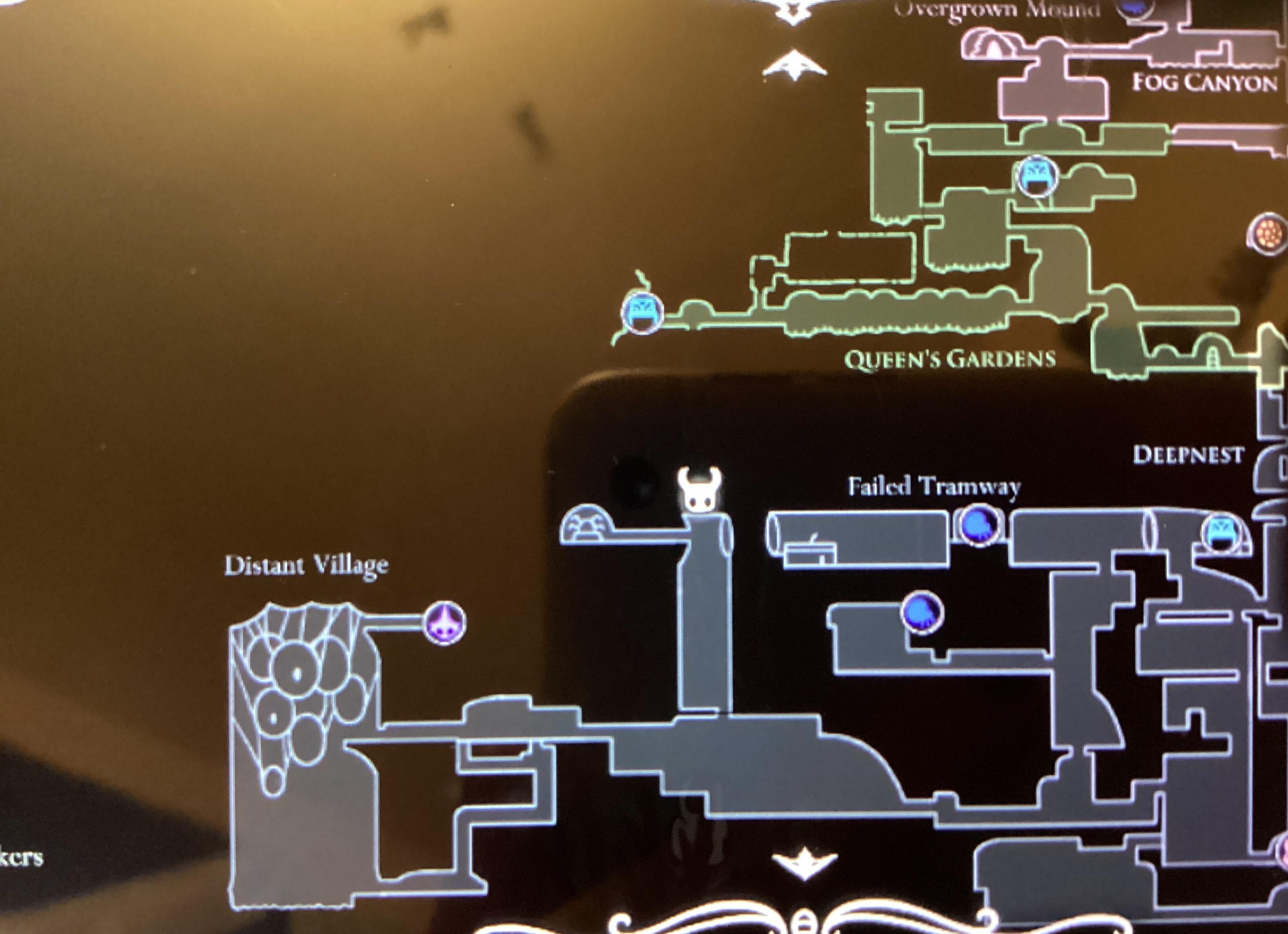 Что это за странное морское существо?