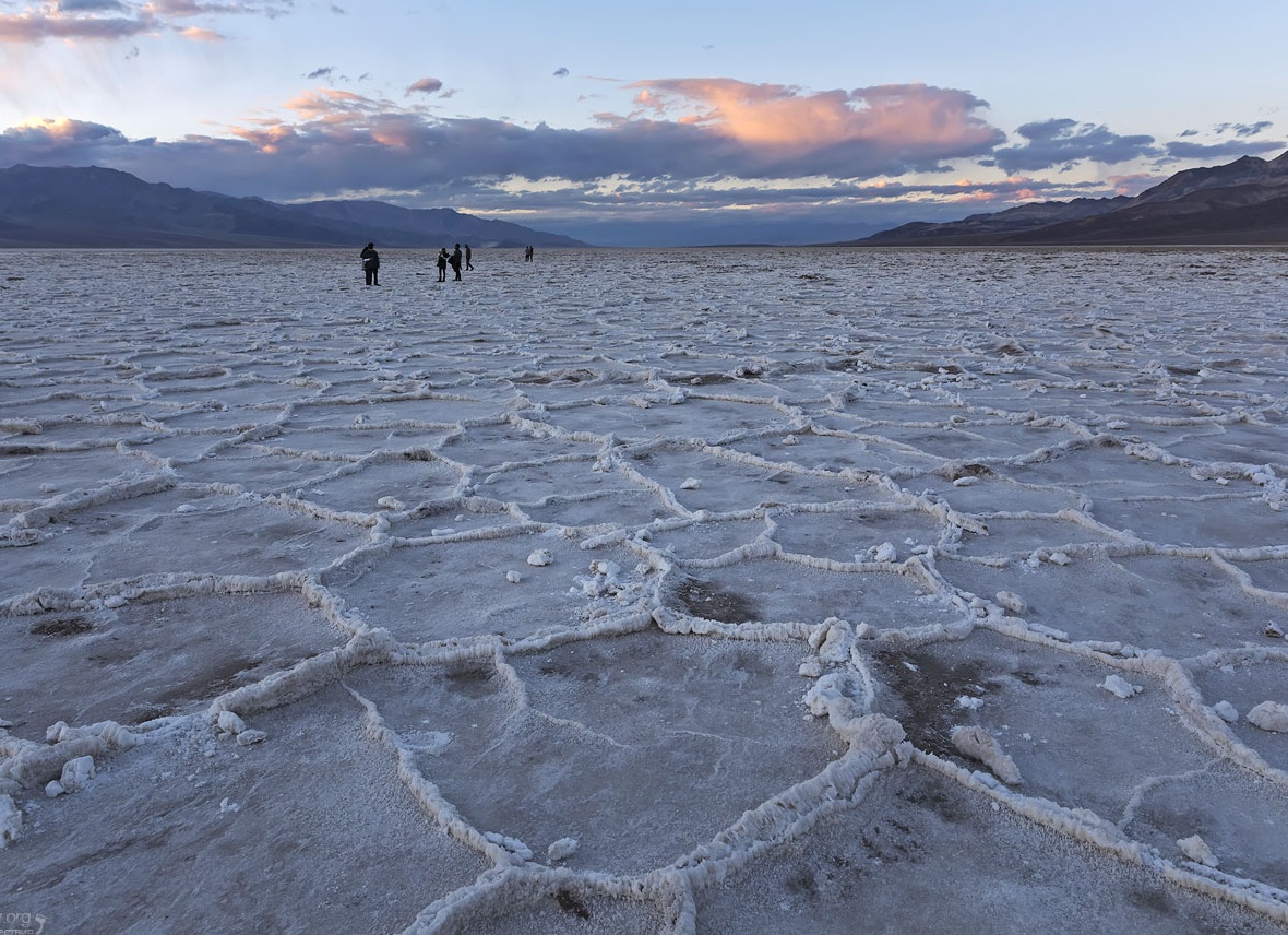 Секс в воде: как размножаются обитатели водоемов