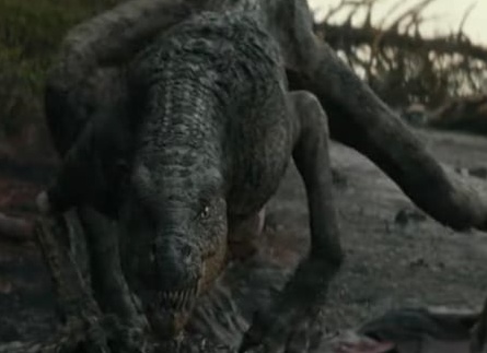 Вараны — пережившие динозавров Вараны — пережившие динозавров