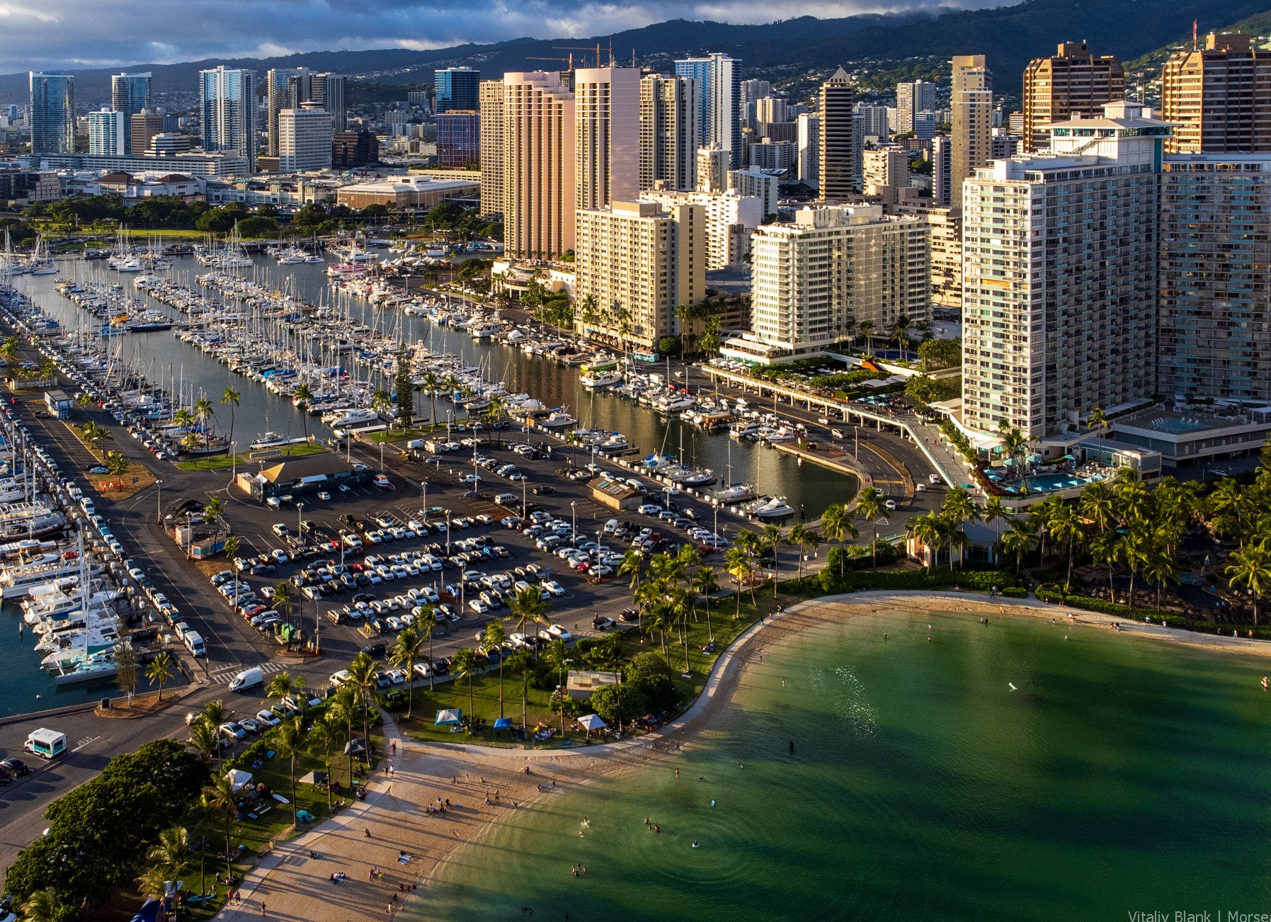 Кратеры бомб Второй мировой стали домом для уникальных организмов