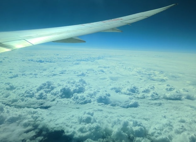 Ядовитые вещества нашли в Марианской впадине