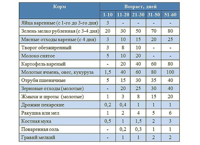 Чем кормить домашних уток-нормы и рацион