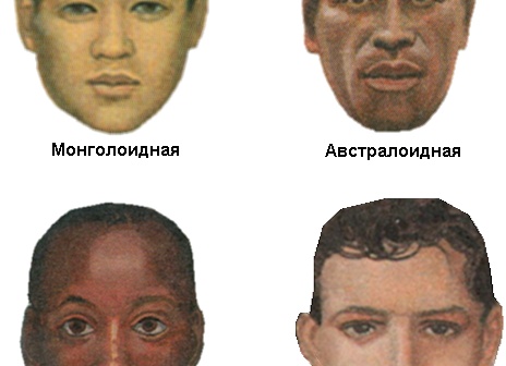 Расы человека