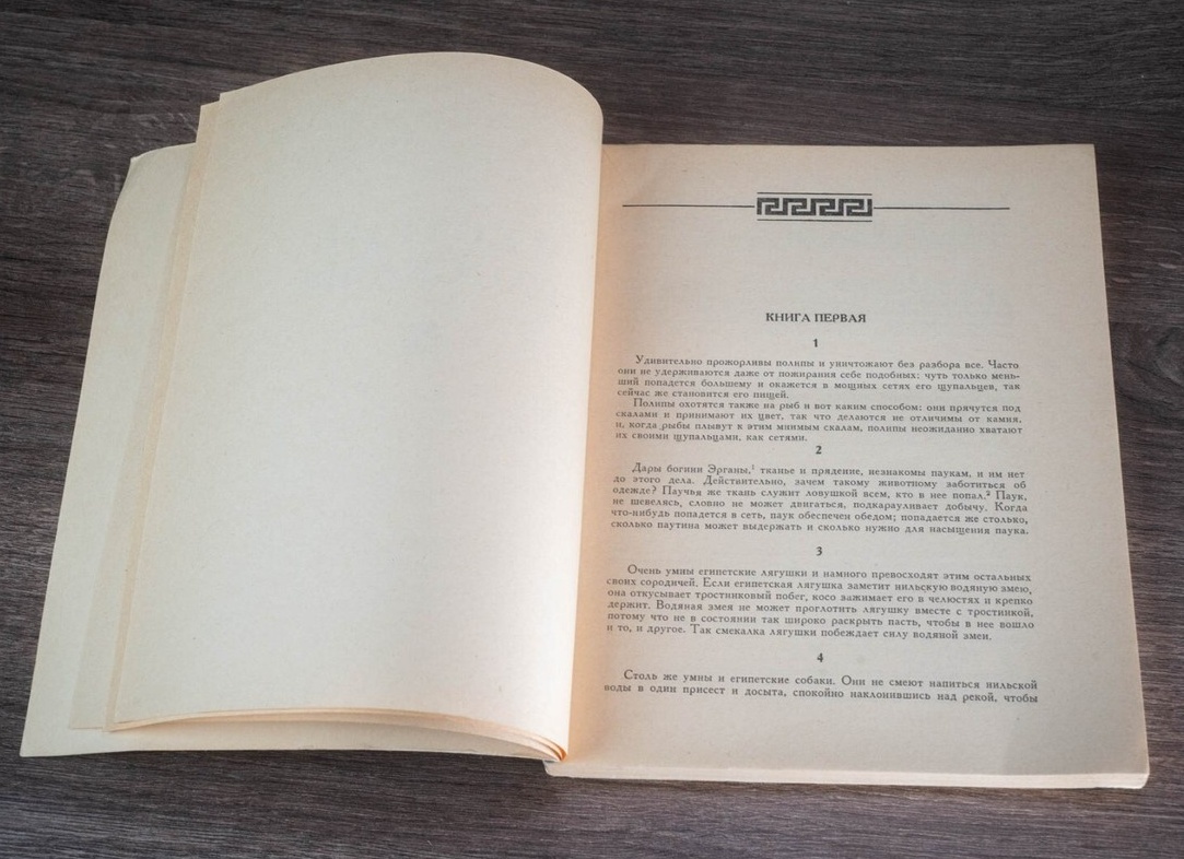 Могут ли змеи охотиться в стае? Могут ли змеи охотиться в стае?