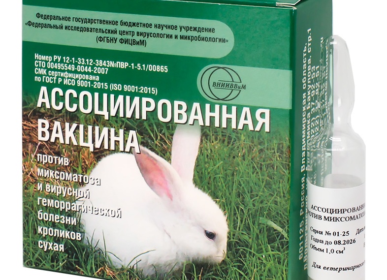 Вакцинация кроликов Вакцинация кроликов
