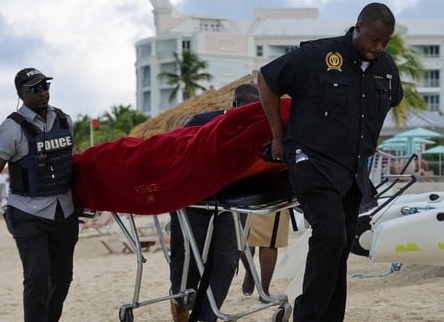 Тигровая акула. Вторая по частоте нападения на людей.