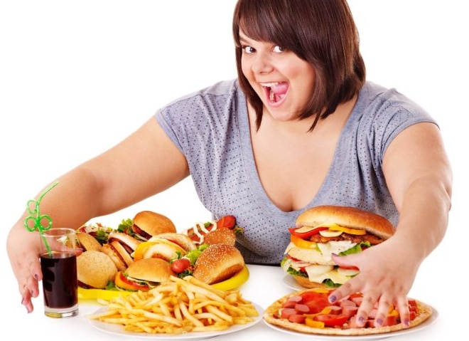 Найдены бактерии, вызывающие ожирение Найдены бактерии, вызывающие ожирение