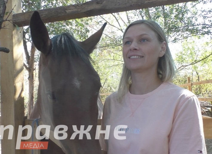 Нервная система и поведение лошадки