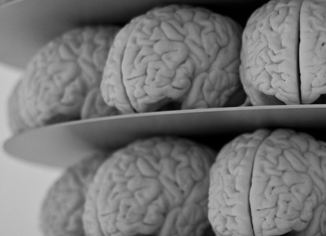 Осторожно: даже одно сотрясение мозга повышает риск развития болезни Паркинсона Осторожно: даже одно сотрясение мозга повышает риск развития болезни Паркинсона