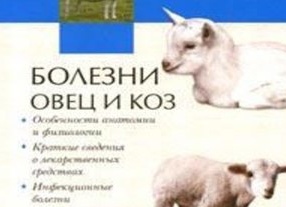 Болезни домашних коз