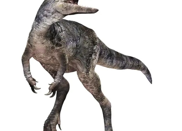 Новый вид динозавра нашли в Канаде