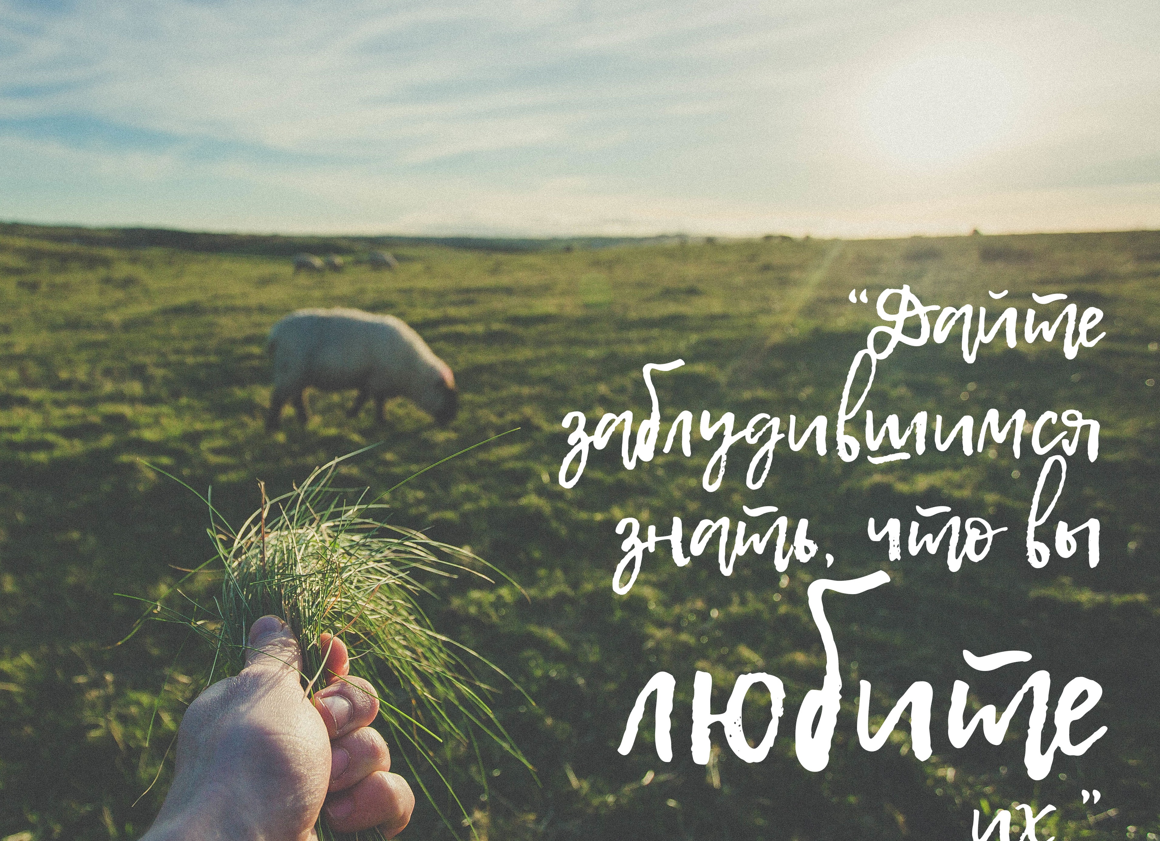 Что мы знаем о свинье? Что мы знаем о свинье?