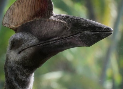 Насколько умны птицы?