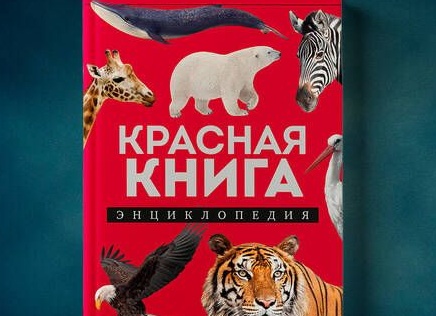 НЕКОТОРЫЕ ЖИВОТНЫЕ КРАСНОЙ КНИГИ.