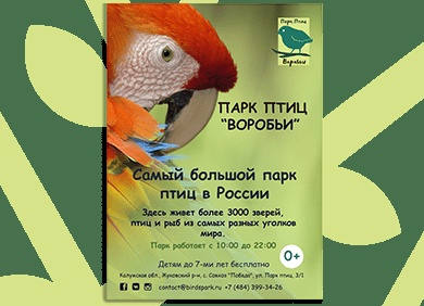 7 самых необычных птиц 7 самых необычных птиц