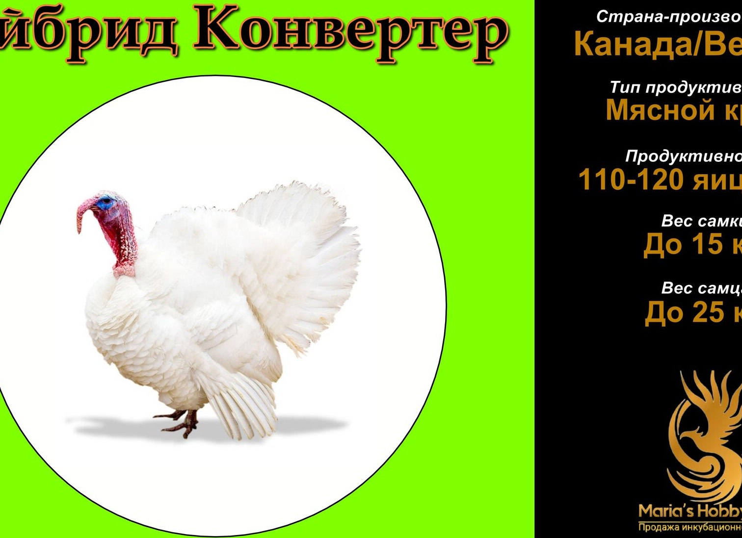 Лидирующий кросс индюков Хайбрид Конвертер с описанием