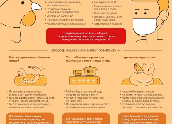 Инфекционные заболевания домашних и декоративных птиц