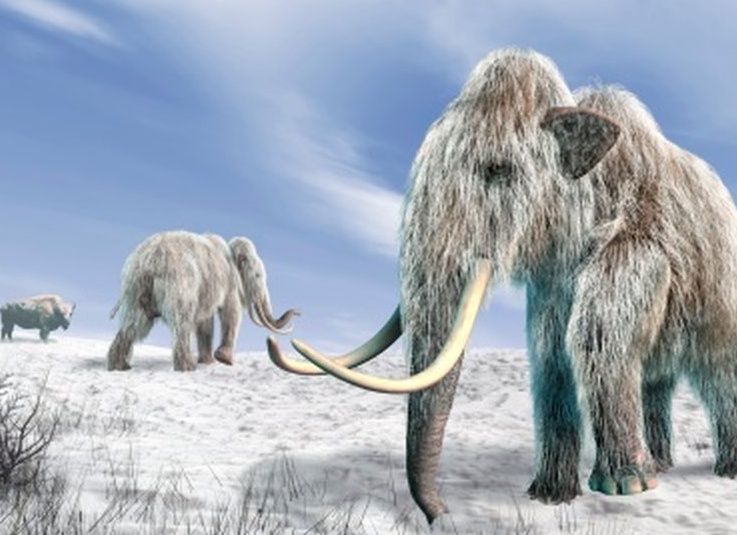 Воскрешение мамонта