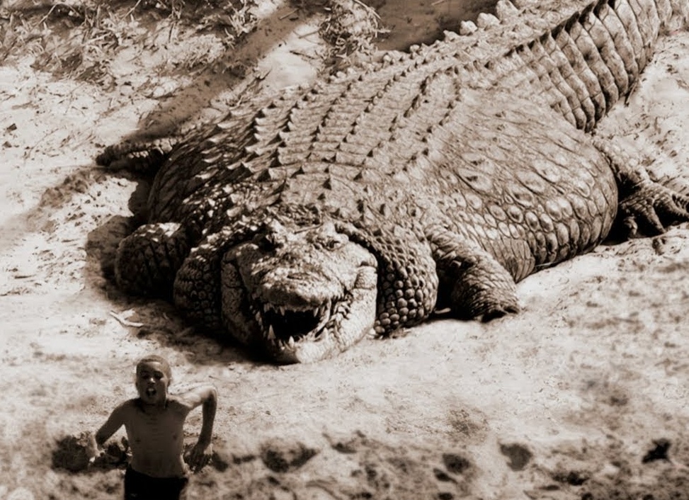 Густав - крокодил-убийца из Африки. На его счету сотни людей