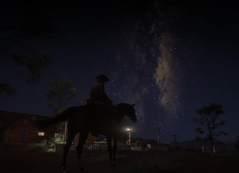 Что мы знаем о лошади: все самые интересные факты