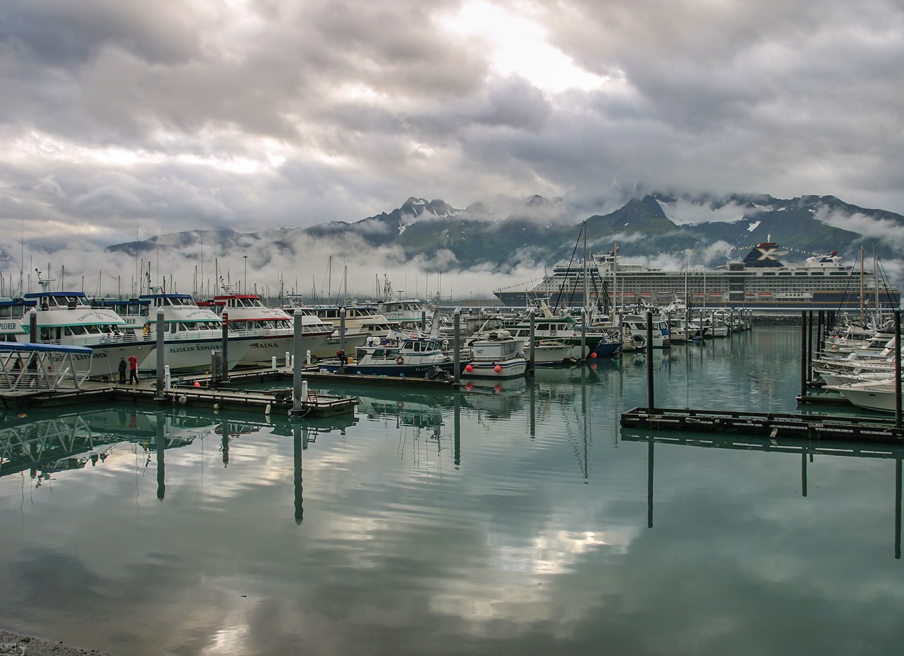 Кит-убийца. Описание, образ жизни, интересные факты о косатках.