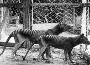 &amp;ETH;&amp;nbsp;&amp;ETH;&amp;micro;&amp;ETH;&amp;acute;&amp;ETH;&amp;ordm;&amp;ETH;&amp;cedil;&amp;ETH;&amp;micro; &amp;ETH;&amp;cedil; &amp;ETH;&amp;cedil;&amp;Ntilde;&amp;Ntilde;&amp;ETH;&amp;micro;&amp;ETH;&amp;middot;&amp;ETH;&amp;deg;&amp;Ntilde;&amp;Ntilde;&amp;ETH;&amp;cedil;&amp;ETH;&amp;micro; &amp;ETH;&amp;para;&amp;ETH;&amp;cedil;&amp;ETH;&amp;sup2;&amp;ETH;&amp;frac34;&amp;Ntilde;&amp;ETH;&amp;frac12;&amp;Ntilde;&amp;ETH;&amp;micro;