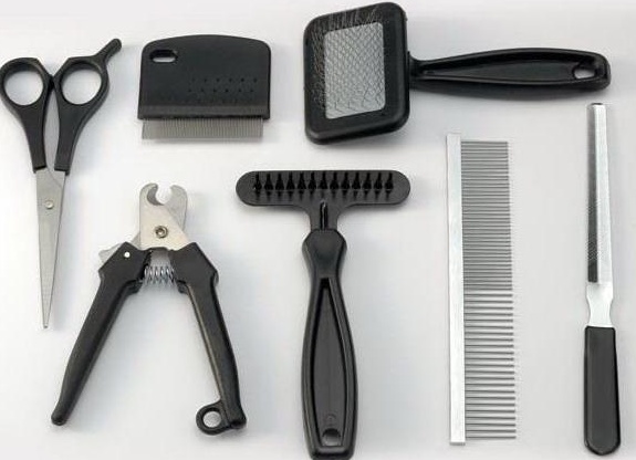 пеÑÑидÑкие коÑки Ñ
аÑакÑÐµÑ Ð¾ÑзÑвÑ