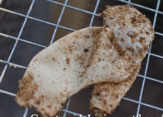 Мембрана от яйца, яйцо без скорлупы. Проблемы яйценоскости у куриц несушек