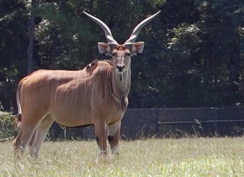 &amp;ETH;&amp;Ntilde;&amp;Ntilde;&amp;ETH;&amp;micro;&amp;ETH;&amp;middot;&amp;ETH;&amp;frac12;&amp;Ntilde;&amp;ETH;&amp;sup2;&amp;Ntilde;&amp;ETH;&amp;cedil;&amp;ETH;&amp;micro; &amp;ETH;&amp;para;&amp;ETH;&amp;cedil;&amp;ETH;&amp;sup2;&amp;ETH;&amp;frac34;&amp;Ntilde;&amp;ETH;&amp;frac12;&amp;Ntilde;&amp;ETH;&amp;micro; &amp;ETH;&amp;cedil; &amp;ETH;&amp;iquest;&amp;Ntilde;&amp;ETH;&amp;cedil;&amp;Ntilde;&amp;Ntilde;