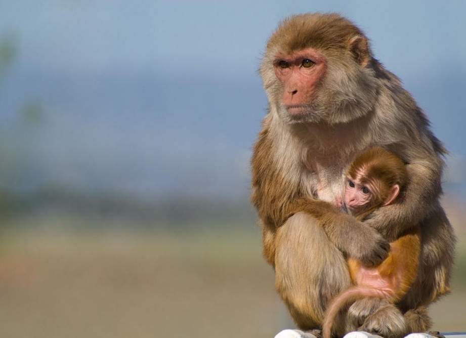 &amp;ETH;&amp;ETH;&amp;cedil;&amp;ETH;&amp;acute; - &amp;ETH;&amp;ETH;&amp;deg;&amp;ETH;&amp;ordm;&amp;ETH;&amp;deg;&amp;ETH;&amp;ordm;-&amp;Ntilde;&amp;ETH;&amp;micro;&amp;ETH;&amp;middot;&amp;Ntilde;&amp;Ntilde;