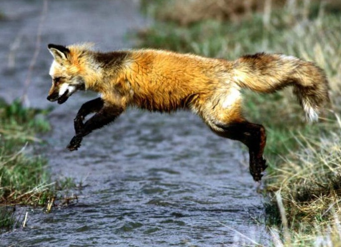 &amp;Ntilde;&amp;ETH;&amp;iquest;&amp;ETH;&amp;cedil;&amp;Ntilde;&amp;ETH;&amp;frac34;&amp;ETH;&amp;ordm; &amp;ETH;&amp;acute;&amp;ETH;&amp;cedil;&amp;ETH;&amp;ordm;&amp;ETH;&amp;cedil;&amp;Ntilde; &amp;ETH;&amp;para;&amp;ETH;&amp;cedil;&amp;ETH;&amp;sup2;&amp;ETH;&amp;frac34;&amp;Ntilde;&amp;ETH;&amp;frac12;&amp;Ntilde;&amp;Ntilde; &amp;ETH;&amp;iquest;&amp;ETH;&amp;frac34; &amp;ETH;&amp;deg;&amp;ETH;&amp;raquo;&amp;Ntilde;&amp;ETH;&amp;deg;&amp;ETH;&amp;sup2;&amp;ETH;&amp;cedil;&amp;Ntilde;&amp;Ntilde;