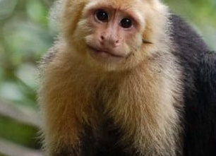 &amp;ETH;&amp;sup3;&amp;ETH;&amp;acute;&amp;ETH;&amp;micro; &amp;ETH;&amp;para;&amp;ETH;&amp;cedil;&amp;ETH;&amp;sup2;&amp;Ntilde;&amp;Ntilde; &amp;ETH;&amp;frac34;&amp;ETH;&amp;plusmn;&amp;ETH;&amp;micro;&amp;ETH;&amp;middot;&amp;Ntilde;&amp;Ntilde;&amp;ETH;&amp;frac12;&amp;Ntilde; &amp;Ntilde;&amp;Ntilde;&amp;Ntilde;&amp;ETH;&amp;deg;&amp;ETH;&amp;frac12;&amp;ETH;&amp;deg;