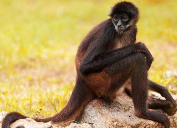 &amp;ETH;&amp;sup3;&amp;ETH;&amp;acute;&amp;ETH;&amp;micro; &amp;ETH;&amp;para;&amp;ETH;&amp;cedil;&amp;ETH;&amp;sup2;&amp;ETH;&amp;micro;&amp;Ntilde; &amp;ETH;&amp;frac14;&amp;ETH;&amp;frac12;&amp;ETH;&amp;frac34;&amp;ETH;&amp;sup3;&amp;ETH;&amp;frac34; &amp;ETH;&amp;frac14;&amp;ETH;&amp;frac12;&amp;ETH;&amp;frac34;&amp;ETH;&amp;sup3;&amp;ETH;&amp;frac34; &amp;ETH;&amp;acute;&amp;ETH;&amp;cedil;&amp;ETH;&amp;ordm;&amp;ETH;&amp;cedil;&amp;Ntilde; &amp;ETH;&amp;frac34;&amp;ETH;&amp;plusmn;&amp;ETH;&amp;micro;&amp;ETH;&amp;middot;&amp;Ntilde;&amp;Ntilde;&amp;ETH;&amp;frac12;