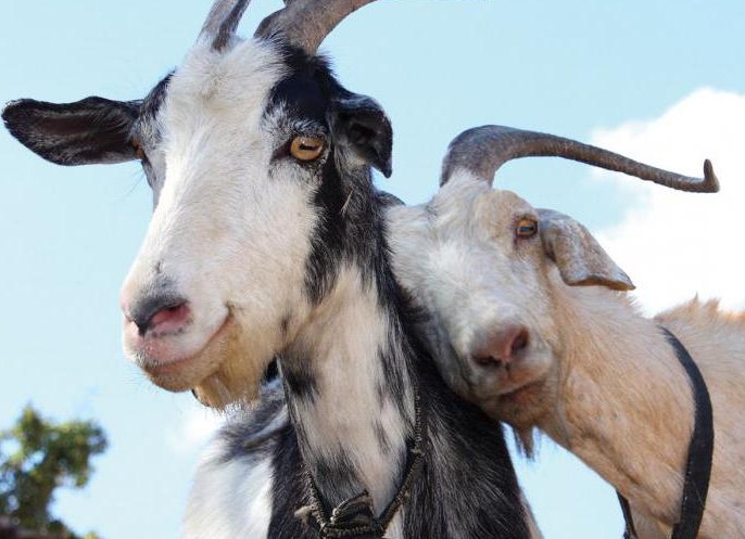 &amp;amp;amp;ETH;&amp;amp;amp;ordm;&amp;amp;amp;ETH;&amp;amp;amp;deg;&amp;amp;amp;ETH;&amp;amp;amp;ordm; &amp;amp;amp;ETH;&amp;amp;amp;iquest;&amp;amp;amp;Ntilde;&amp;amp;amp;ETH;&amp;amp;amp;frac34;&amp;amp;amp;ETH;&amp;amp;amp;cedil;&amp;amp;amp;Ntilde;&amp;amp;amp;Ntilde;&amp;amp;amp;ETH;&amp;amp;amp;frac34;&amp;amp;amp;ETH;&amp;amp;amp;acute;&amp;amp;amp;ETH;&amp;amp;amp;cedil;&amp;amp;amp;Ntilde; &amp;amp;amp;Ntilde;&amp;amp;amp;ETH;&amp;amp;amp;raquo;&amp;amp;amp;Ntilde;&amp;amp;amp;Ntilde;&amp;amp;amp;ETH;&amp;amp;amp;ordm;&amp;amp;amp;ETH;&amp;amp;amp;deg; &amp;amp;amp;ETH;&amp;amp;amp;ordm;&amp;amp;amp;ETH;&amp;amp;amp;frac34;&amp;amp;amp;ETH;&amp;amp;amp;middot;