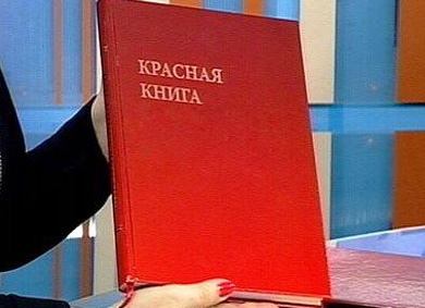 &amp;ETH;&amp;frac14;&amp;ETH;&amp;micro;&amp;ETH;&amp;para;&amp;ETH;&amp;acute;&amp;Ntilde;&amp;ETH;&amp;frac12;&amp;ETH;&amp;deg;&amp;Ntilde;&amp;ETH;&amp;frac34;&amp;ETH;&amp;acute;&amp;ETH;&amp;frac12;&amp;ETH;&amp;deg;&amp;Ntilde; &amp;ETH;&amp;ordm;&amp;Ntilde;&amp;ETH;&amp;deg;&amp;Ntilde;&amp;ETH;&amp;frac12;&amp;ETH;&amp;deg;&amp;Ntilde; &amp;ETH;&amp;ordm;&amp;ETH;&amp;frac12;&amp;ETH;&amp;cedil;&amp;ETH;&amp;sup3;&amp;ETH;&amp;deg; &amp;Ntilde;&amp;ETH;&amp;frac34;&amp;Ntilde;&amp;ETH;&amp;frac34; &amp;ETH;&amp;para;&amp;ETH;&amp;cedil;&amp;ETH;&amp;sup2;&amp;ETH;&amp;frac34;&amp;Ntilde;&amp;ETH;&amp;frac12;&amp;Ntilde;&amp;Ntilde;