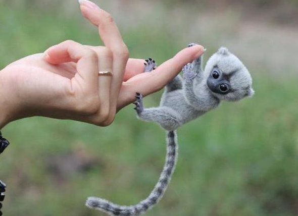 &amp;ETH;&amp;frac12;&amp;ETH;&amp;micro;&amp;ETH;&amp;plusmn;&amp;ETH;&amp;frac34;&amp;ETH;&amp;raquo;&amp;Ntilde;&amp;Ntilde;&amp;ETH;&amp;deg;&amp;Ntilde; &amp;ETH;&amp;frac34;&amp;ETH;&amp;plusmn;&amp;ETH;&amp;micro;&amp;ETH;&amp;middot;&amp;Ntilde;&amp;Ntilde;&amp;ETH;&amp;frac12;&amp;ETH;&amp;deg; &amp;Ntilde; &amp;ETH;&amp;plusmn;&amp;ETH;&amp;frac34;&amp;ETH;&amp;raquo;&amp;Ntilde;&amp;Ntilde;&amp;ETH;&amp;cedil;&amp;ETH;&amp;frac14;&amp;ETH;&amp;cedil; &amp;ETH;&amp;sup3;&amp;ETH;&amp;raquo;&amp;ETH;&amp;deg;&amp;ETH;&amp;middot;&amp;ETH;&amp;deg;&amp;ETH;&amp;frac14;&amp;ETH;&amp;cedil;