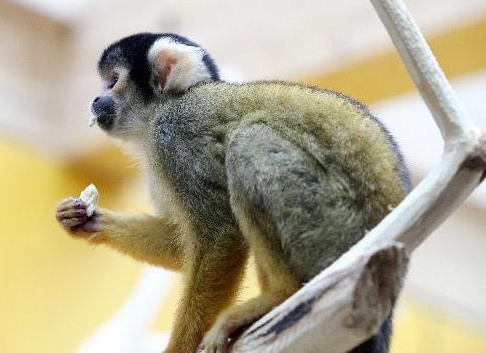 &amp;Ntilde;&amp;ETH;&amp;deg;&amp;ETH;&amp;sup1;&amp;ETH;&amp;frac14;&amp;ETH;&amp;cedil;&amp;Ntilde;&amp;ETH;&amp;cedil; &amp;ETH;&amp;frac34;&amp;ETH;&amp;plusmn;&amp;ETH;&amp;micro;&amp;ETH;&amp;middot;&amp;Ntilde;&amp;Ntilde;&amp;ETH;&amp;frac12;&amp;ETH;&amp;deg;