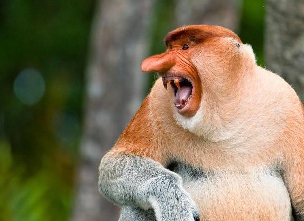 &amp;ETH;&amp;frac12;&amp;ETH;&amp;frac34;&amp;Ntilde;&amp;ETH;&amp;deg;&amp;Ntilde; &amp;ETH;&amp;frac34;&amp;ETH;&amp;plusmn;&amp;ETH;&amp;micro;&amp;ETH;&amp;middot;&amp;Ntilde;&amp;Ntilde;&amp;ETH;&amp;frac12;&amp;ETH;&amp;deg; &amp;ETH;&amp;sup3;&amp;ETH;&amp;acute;&amp;ETH;&amp;micro; &amp;ETH;&amp;frac34;&amp;ETH;&amp;plusmn;&amp;ETH;&amp;cedil;&amp;Ntilde;&amp;ETH;&amp;deg;&amp;ETH;&amp;micro;&amp;Ntilde;