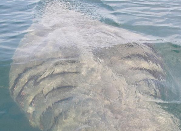 &amp;amp;amp;ETH;&amp;amp;amp;frac12;&amp;amp;amp;ETH;&amp;amp;amp;deg;&amp;amp;amp;ETH;&amp;amp;amp;middot;&amp;amp;amp;ETH;&amp;amp;amp;sup2;&amp;amp;amp;ETH;&amp;amp;amp;deg;&amp;amp;amp;ETH;&amp;amp;amp;frac12;&amp;amp;amp;ETH;&amp;amp;amp;cedil;&amp;amp;amp;ETH;&amp;amp;amp;micro; &amp;amp;amp;ETH;&amp;amp;amp;deg;&amp;amp;amp;ETH;&amp;amp;amp;ordm;&amp;amp;amp;Ntilde;&amp;amp;amp;ETH;&amp;amp;amp;raquo;