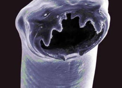 &amp;ETH;&amp;para;&amp;ETH;&amp;cedil;&amp;ETH;&amp;sup2;&amp;ETH;&amp;frac34;&amp;Ntilde;&amp;ETH;&amp;frac12;&amp;Ntilde;&amp;ETH;&amp;micro; &amp;ETH;&amp;iquest;&amp;ETH;&amp;deg;&amp;Ntilde;&amp;ETH;&amp;deg;&amp;ETH;&amp;middot;&amp;ETH;&amp;cedil;&amp;Ntilde;&amp;Ntilde;