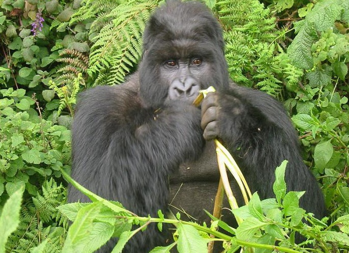 &amp;ETH;&amp;ordm;&amp;ETH;&amp;deg;&amp;ETH;&amp;ordm;&amp;ETH;&amp;cedil;&amp;ETH;&amp;micro; &amp;ETH;&amp;plusmn;&amp;Ntilde;&amp;ETH;&amp;sup2;&amp;ETH;&amp;deg;&amp;Ntilde;&amp;Ntilde; &amp;ETH;&amp;para;&amp;ETH;&amp;cedil;&amp;ETH;&amp;sup2;&amp;ETH;&amp;frac34;&amp;Ntilde;&amp;ETH;&amp;frac12;&amp;Ntilde;&amp;ETH;&amp;micro; &amp;ETH;&amp;sup2;&amp;Ntilde;&amp;ETH;&amp;micro;&amp;Ntilde;&amp;ETH;&amp;acute;&amp;ETH;&amp;frac12;&amp;Ntilde;&amp;ETH;&amp;micro;