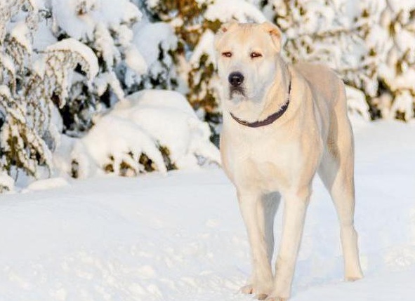 &amp;Ntilde;&amp;ETH;&amp;frac34;&amp;ETH;&amp;iquest; 10 &amp;Ntilde;&amp;ETH;&amp;deg;&amp;ETH;&amp;frac14;&amp;Ntilde;&amp;Ntilde; &amp;Ntilde;&amp;ETH;&amp;cedil;&amp;ETH;&amp;raquo;&amp;Ntilde;&amp;ETH;&amp;frac12;&amp;Ntilde;&amp;Ntilde; &amp;Ntilde;&amp;ETH;&amp;frac34;&amp;ETH;&amp;plusmn;&amp;ETH;&amp;deg;&amp;ETH;&amp;ordm; &amp;ETH;&amp;sup2; &amp;ETH;&amp;frac14;&amp;ETH;&amp;cedil;&amp;Ntilde;&amp;ETH;&amp;micro; &amp;ETH;&amp;deg;&amp;ETH;&amp;raquo;&amp;ETH;&amp;deg;&amp;ETH;&amp;plusmn;&amp;ETH;&amp;deg;&amp;ETH;&amp;sup1;