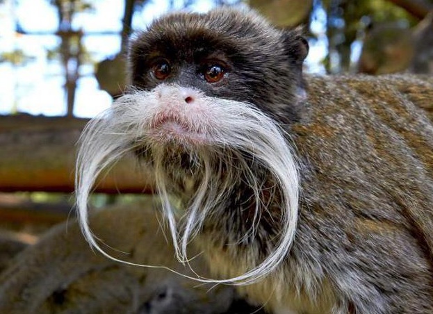 &amp;ETH;&amp;cedil;&amp;ETH;&amp;frac14;&amp;ETH;&amp;iquest;&amp;ETH;&amp;micro;&amp;Ntilde;&amp;ETH;&amp;deg;&amp;Ntilde;&amp;ETH;&amp;frac34;&amp;Ntilde;&amp;Ntilde;&amp;ETH;&amp;ordm;&amp;ETH;&amp;cedil;&amp;ETH;&amp;sup1; &amp;Ntilde;&amp;ETH;&amp;deg;&amp;ETH;&amp;frac14;&amp;ETH;&amp;deg;&amp;Ntilde;&amp;ETH;&amp;cedil;&amp;ETH;&amp;frac12; &amp;ETH;&amp;sup3;&amp;ETH;&amp;acute;&amp;ETH;&amp;micro; &amp;ETH;&amp;frac34;&amp;ETH;&amp;plusmn;&amp;ETH;&amp;cedil;&amp;Ntilde;&amp;ETH;&amp;deg;&amp;ETH;&amp;micro;&amp;Ntilde;