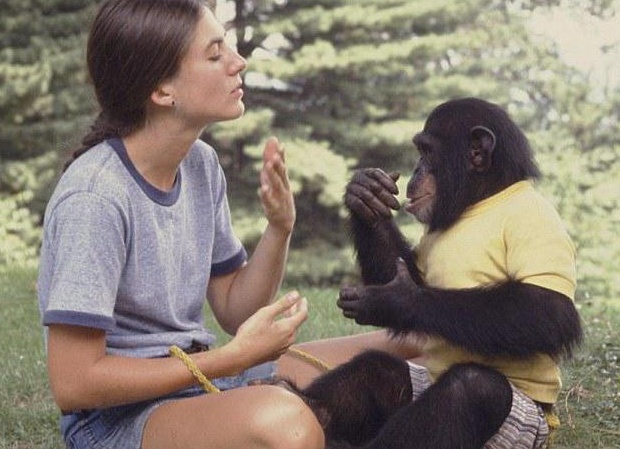 &amp;ETH;&amp;ETH;&amp;plusmn;&amp;Ntilde;&amp;Ntilde;&amp;ETH;&amp;micro;&amp;ETH;&amp;frac12;&amp;ETH;&amp;cedil;&amp;ETH;&amp;micro; &amp;ETH;&amp;frac34;&amp;ETH;&amp;plusmn;&amp;ETH;&amp;micro;&amp;ETH;&amp;middot;&amp;Ntilde;&amp;Ntilde;&amp;ETH;&amp;frac12; &amp;Ntilde;&amp;ETH;&amp;micro;&amp;Ntilde;&amp;ETH;&amp;cedil;