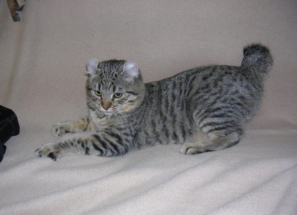 &amp;Ntilde;&amp;ETH;&amp;deg;&amp;ETH;&amp;sup1;&amp;ETH;&amp;raquo;&amp;ETH;&amp;micro;&amp;ETH;&amp;frac12;&amp;ETH;&amp;acute;&amp;ETH;&amp;micro;&amp;Ntilde; &amp;ETH;&amp;ordm;&amp;ETH;&amp;frac34;&amp;Ntilde;&amp;ETH;&amp;ordm;&amp;ETH;&amp;cedil;