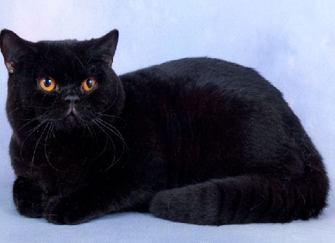 &amp;ETH;&amp;ETH;&amp;acute;&amp;ETH;&amp;frac12;&amp;ETH;&amp;frac34;&amp;Ntilde;&amp;ETH;&amp;frac34;&amp;ETH;&amp;frac12;&amp;ETH;&amp;frac12;&amp;Ntilde;&amp;ETH;&amp;sup1; &amp;Ntilde;&amp;ETH;&amp;micro;&amp;Ntilde;&amp;ETH;&amp;frac12;&amp;Ntilde;&amp;ETH;&amp;sup1;