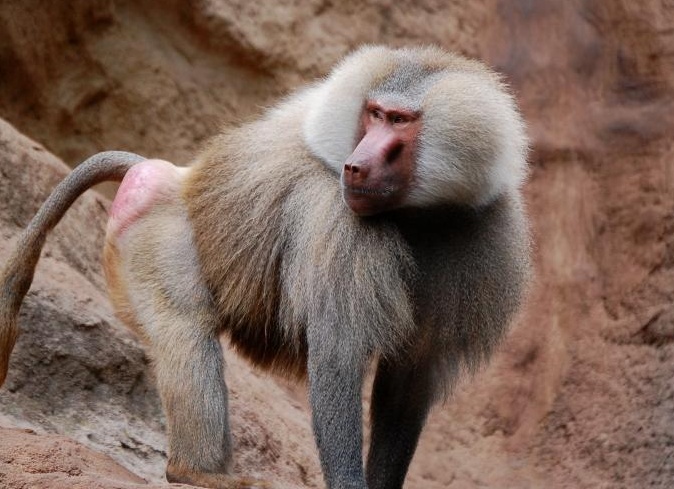 &amp;ETH;&amp;ETH;&amp;cedil;&amp;ETH;&amp;acute; - &amp;ETH;&amp;ETH;&amp;deg;&amp;ETH;&amp;frac14;&amp;ETH;&amp;deg;&amp;ETH;&amp;acute;&amp;Ntilde;&amp;ETH;&amp;cedil;&amp;ETH;&amp;raquo;