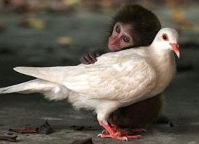 &amp;Ntilde;&amp;ETH;&amp;ordm;&amp;ETH;&amp;frac34;&amp;ETH;&amp;raquo;&amp;Ntilde;&amp;ETH;&amp;ordm;&amp;ETH;&amp;frac34; &amp;ETH;&amp;para;&amp;ETH;&amp;cedil;&amp;ETH;&amp;sup2;&amp;Ntilde;&amp;Ntilde; &amp;ETH;&amp;frac34;&amp;ETH;&amp;plusmn;&amp;ETH;&amp;micro;&amp;ETH;&amp;middot;&amp;Ntilde;&amp;Ntilde;&amp;ETH;&amp;frac12;&amp;Ntilde;